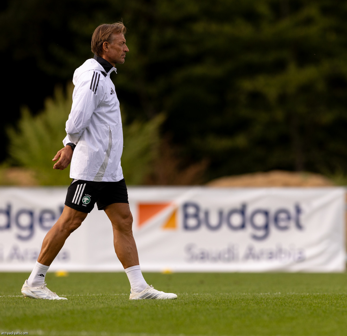 الصقور تتأهب