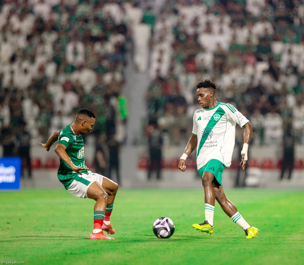 السلبية تطغى